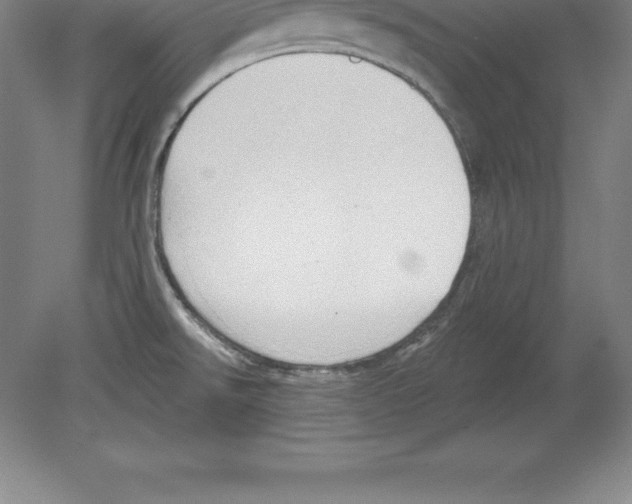 X0000079581526200612301353