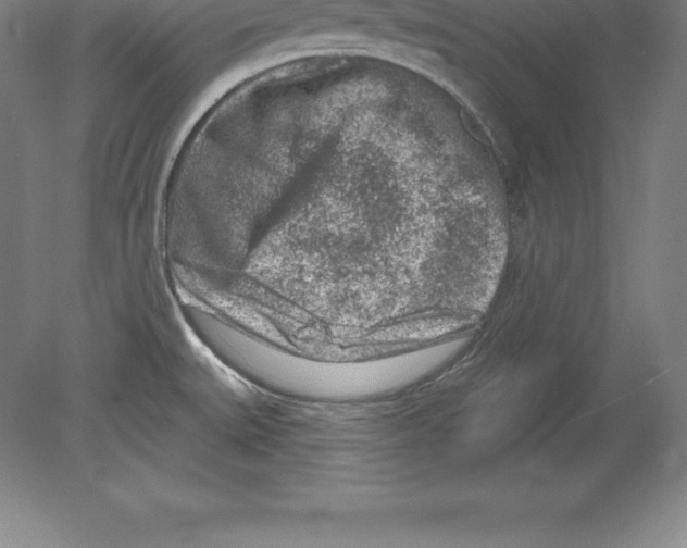 X0000079581527200612301353