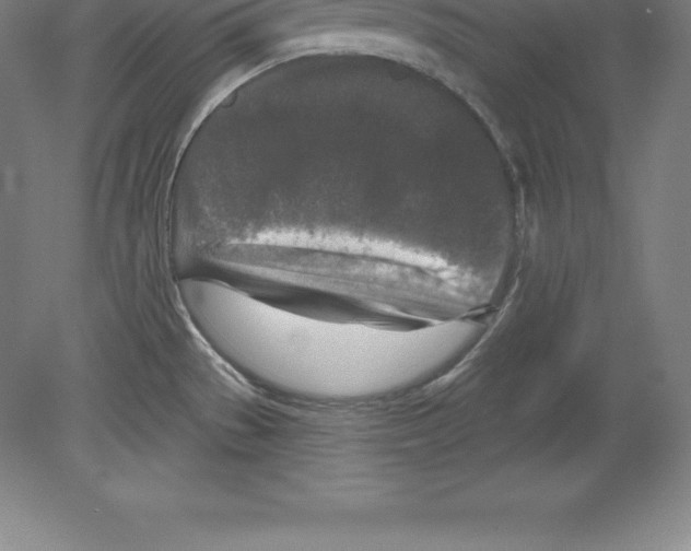 X0000079581529200612301353