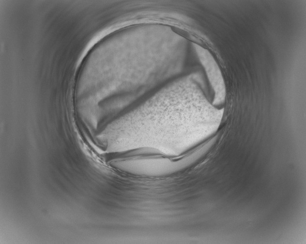 X0000079581530200612301353