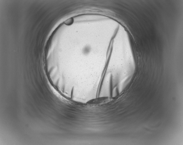 X0000079581531200612301354