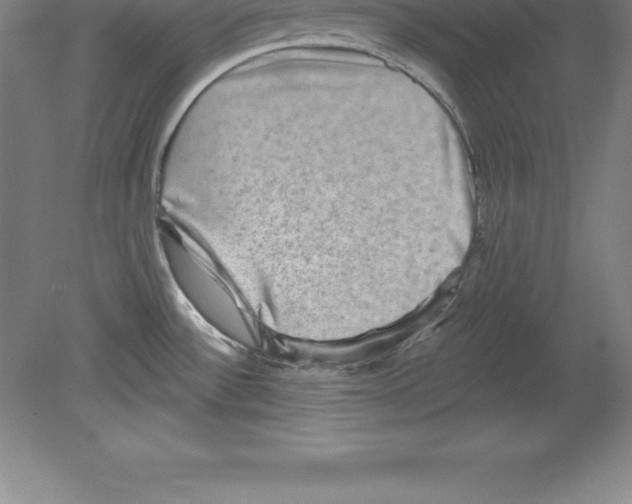 X0000079581532200612301354