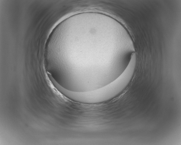 X0000079581534200612301354