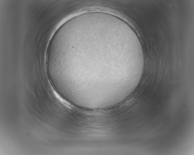 X0000079581535200612301354