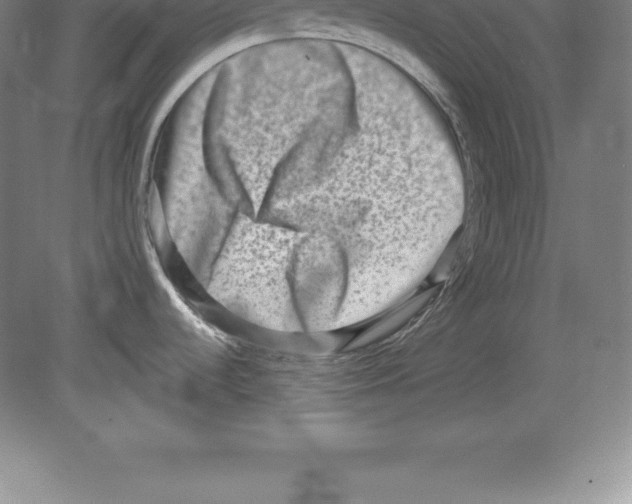 X0000079581536200612301354