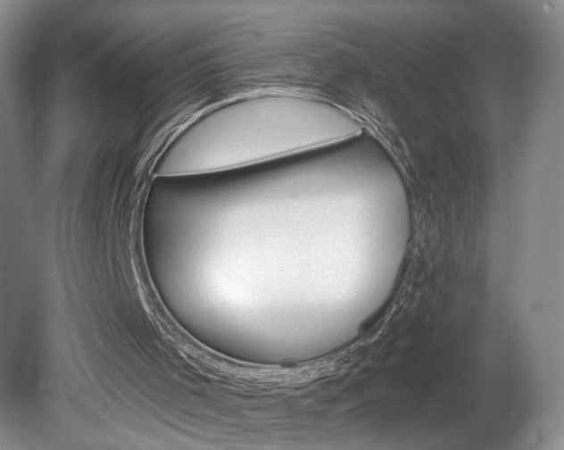 X0000080100001200612080941