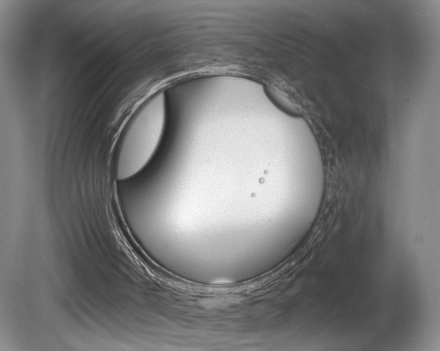 X0000080100002200612080941