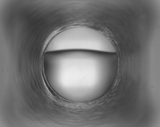 X0000080100003200612080941