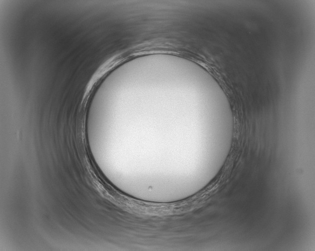 X0000080100004200612080941