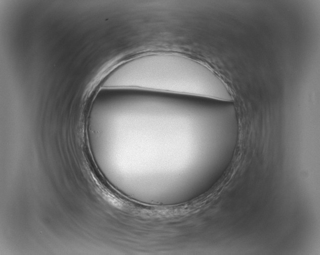 X0000080100005200612080941