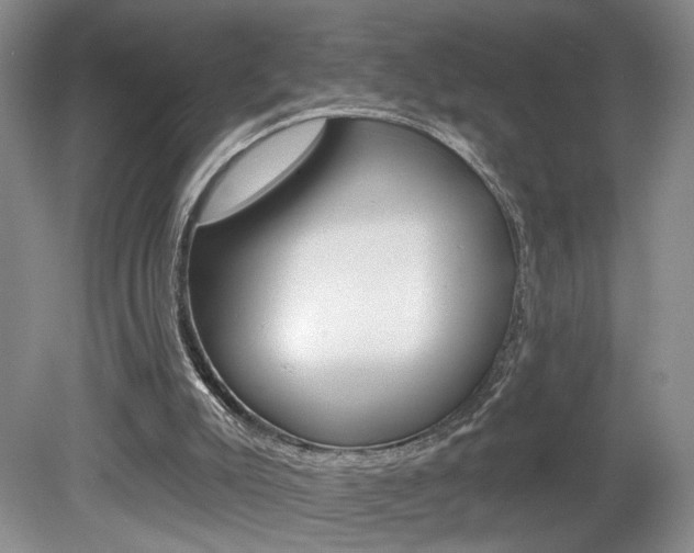 X0000080100007200612080941