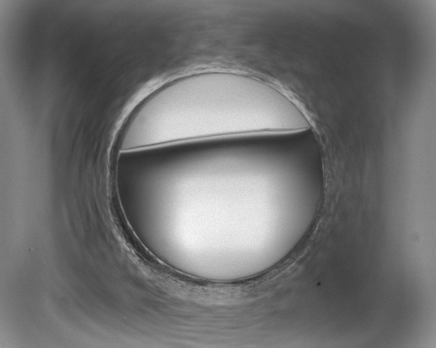 X0000080100008200612080941