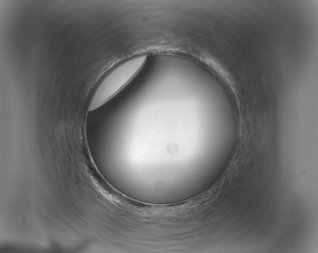 X0000080100009200612080941