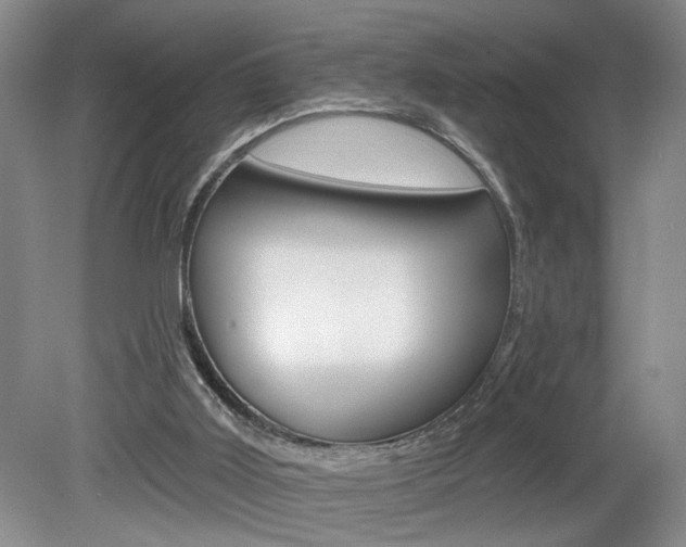 X0000080100011200612080941