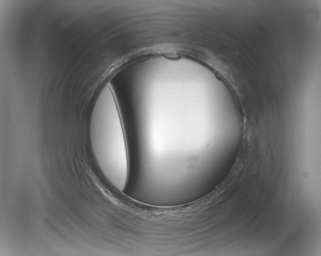 X0000080100013200612080941