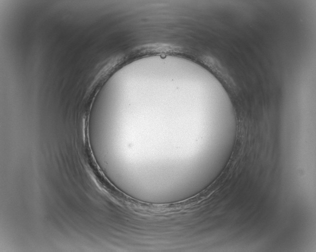 X0000080100014200612080941