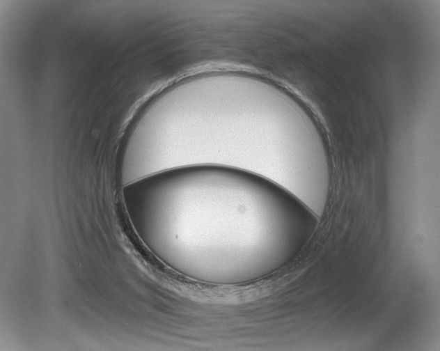 X0000080100015200612080941