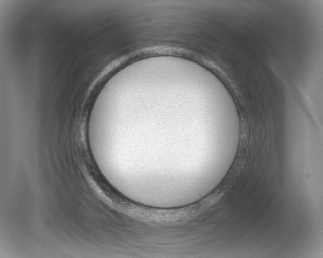 X0000080100016200612080941