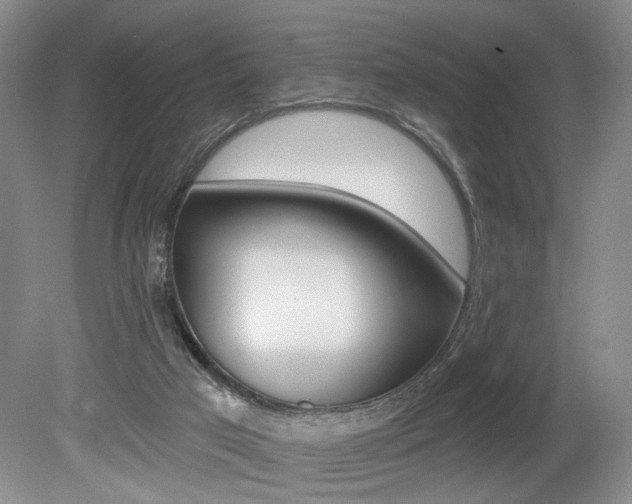 X0000080100017200612080941