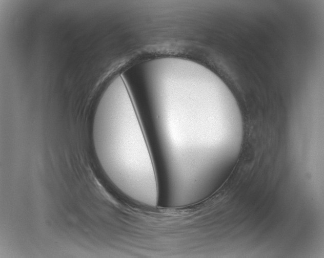 X0000080100020200612080941