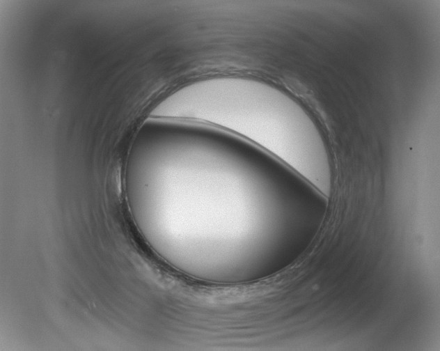 X0000080100021200612080941