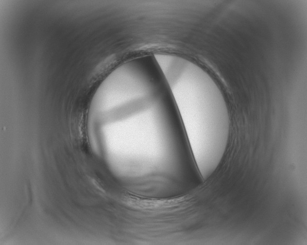 X0000080100023200612080941