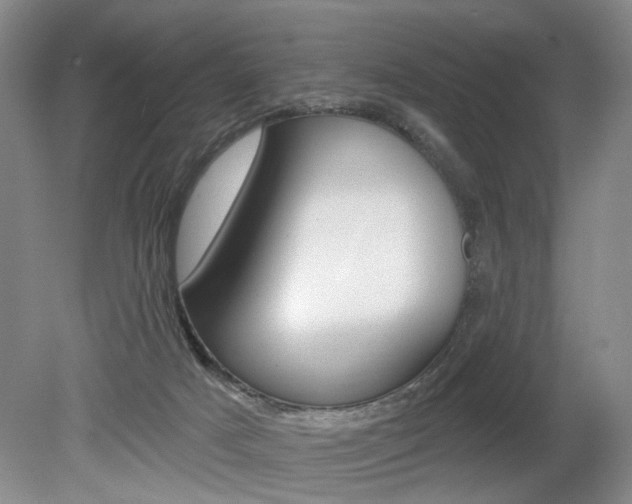 X0000080100025200612080941