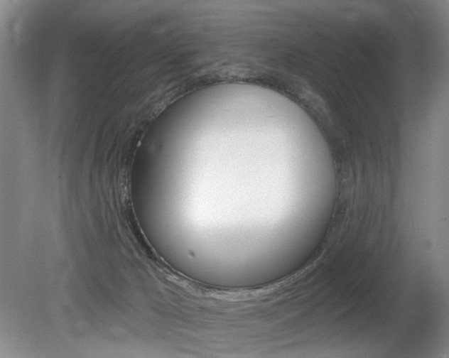 X0000080100029200612080941