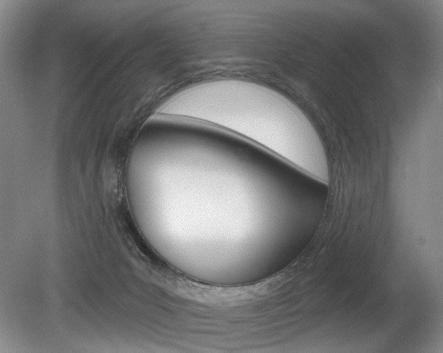X0000080100031200612080941