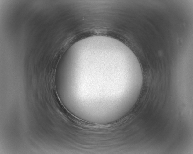 X0000080100032200612080941