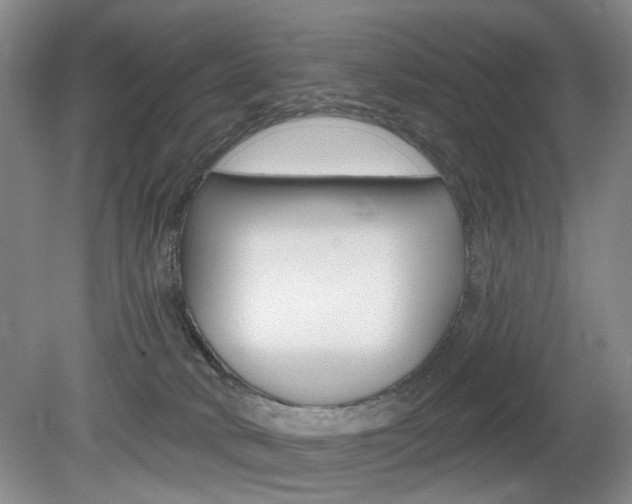 X0000080100034200612080941