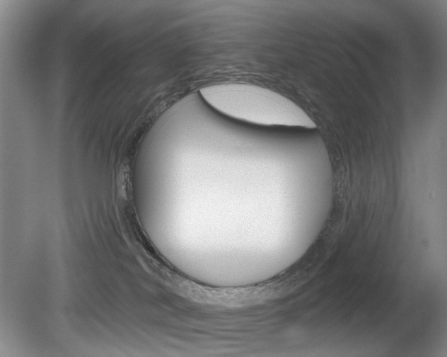 X0000080100038200612080941
