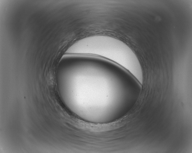 X0000080100039200612080941