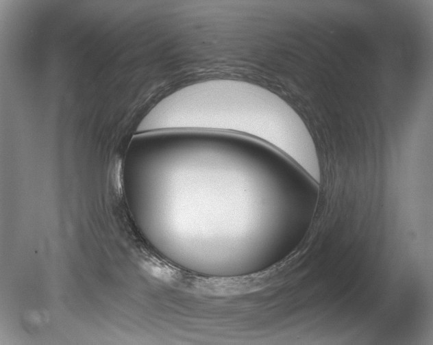 X0000080100041200612080941