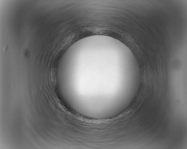 X0000080100044200612080941