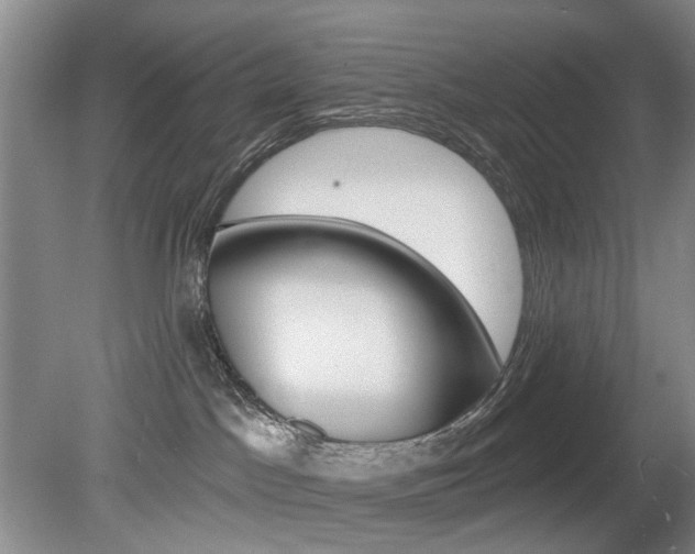 X0000080100045200612080941
