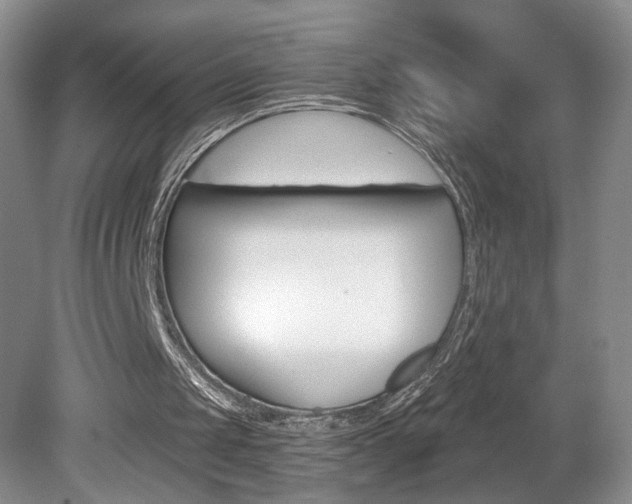 X0000080100049200612080940