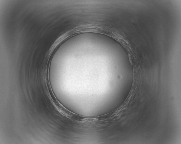 X0000080100051200612080940