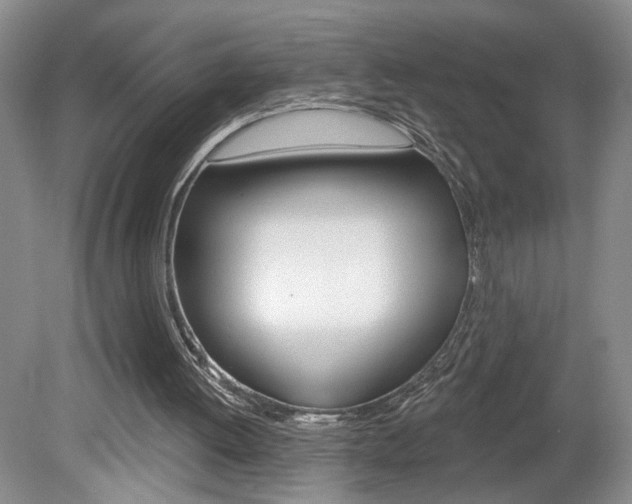X0000080100052200612080940