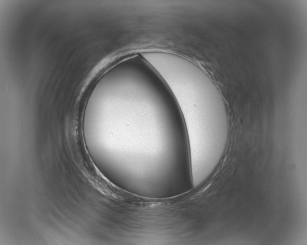X0000080100056200612080940
