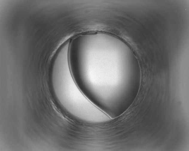 X0000080100060200612080940
