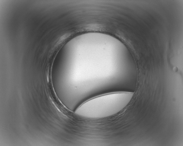 X0000080100062200612080940