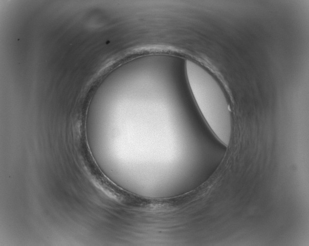 X0000080100063200612080940