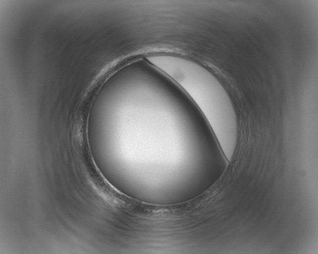 X0000080100064200612080940