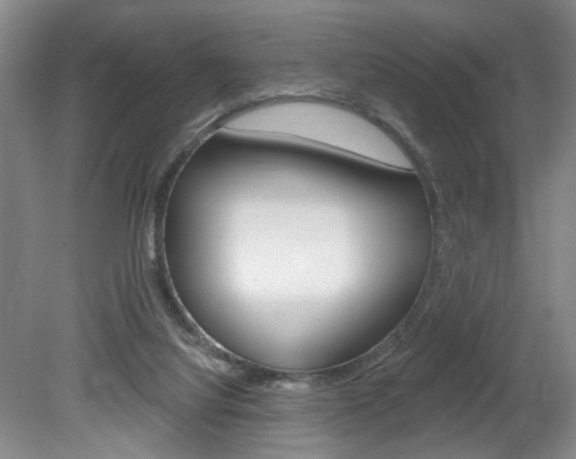 X0000080100068200612080940