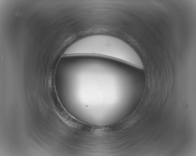 X0000080100072200612080940