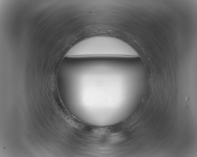 X0000080100079200612080940