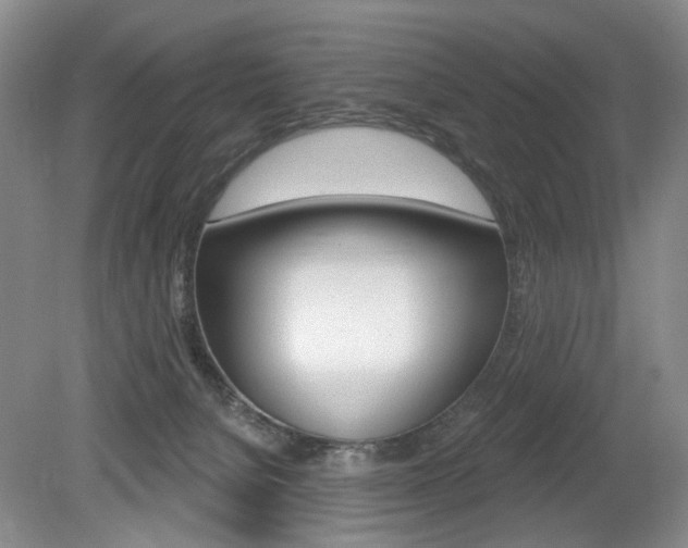 X0000080100080200612080940