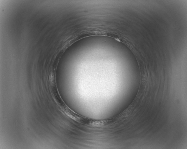 X0000080100084200612080940