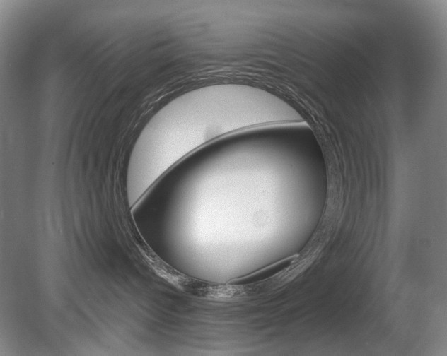 X0000080100096200612080940